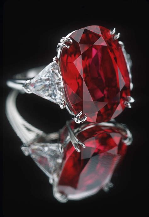 Unearthing the Secrets: Investigating Blood Rubies and their Impact